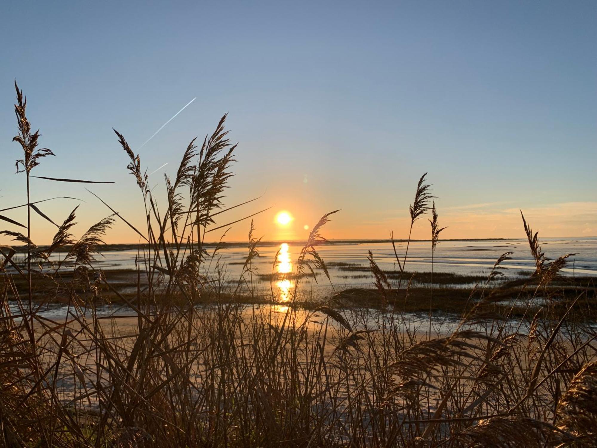 La Villa Des Trois Pins Andernos-les-Bains Esterno foto